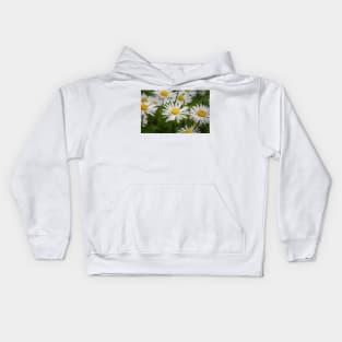 Closeup white daisies Kids Hoodie